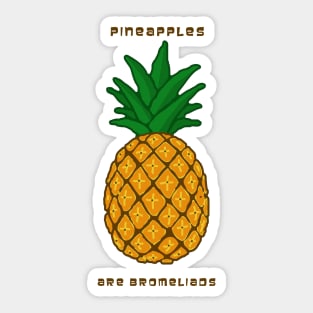 Pineapples Are Bromeliads Sticker